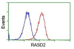 RASD2 Monoclonal Antibody (OTI1G1), TrueMAB , OriGene 100 &mu;L; Unconjugated:Antibodies,