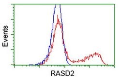 RASD2 Monoclonal Antibody (OTI1G8), TrueMAB , OriGene 30 &mu;L; Unconjugated:Antibodies,
