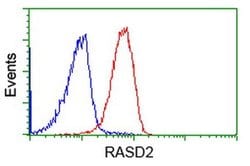 RASD2 Monoclonal Antibody (OTI1G8), TrueMAB , OriGene:Antibodies:Primary