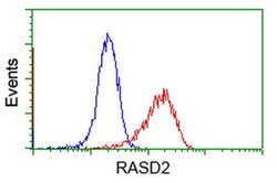 RASD2 Monoclonal Antibody (OTI1D11), TrueMAB , OriGene 100 &mu;L; Unconjugated:Antibodies,