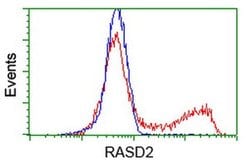 RASD2 Monoclonal Antibody (OTI2G8), TrueMAB , OriGene 100 &mu;L; Unconjugated:Antibodies,