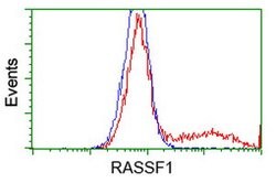 RASSF1 Mouse anti-Human, Clone: OTI2B11, lyophilized, TrueMAB 100 &mu;g;