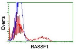 RASSF1 Mouse anti-Human, Clone: OTI8E4, lyophilized, TrueMAB 100 &mu;g;