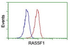 RASSF1 Mouse anti-Human, Clone: OTI8E4, lyophilized, TrueMAB 100 &mu;g;