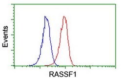 RASSF1 Mouse anti-Human, Clone: OTI8E4, liquid, TrueMAB 30 &mu;L | Buy Online | Origene Technologies | Fisher Scientific