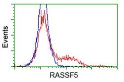 RASSF5 Mouse anti-Human, Clone: OTI1A11, lyophilized, TrueMAB 100 &mu;g;