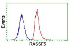 RASSF5 Monoclonal Antibody (OTI1H2), TrueMAB , OriGene 100 &mu;L; Unconjugated:Antibodies,