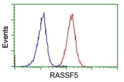 RASSF5 Monoclonal Antibody (OTI1H2), TrueMAB , OriGene 100 &mu;L; Unconjugated:Antibodies,