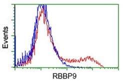 RBBP9 Monoclonal Antibody (OTI2G2), TrueMAB , OriGene 100 &mu;L; Unconjugated:Antibodies,