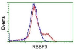 RBBP9 Monoclonal Antibody (OTI1C10), TrueMAB , OriGene 100 &mu;L; Unconjugated:Antibodies,