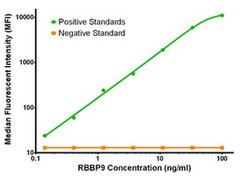 RBBP9 Mouse anti-Human, Clone: OTI2G2, liquid, TrueMAB 100 &mu;g; Unconjugated:Antibodies,