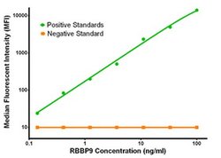 RBBP9 Mouse anti-Human, Clone: OTI2G2, liquid, TrueMAB 100 &mu;g; Unconjugated:Antibodies,