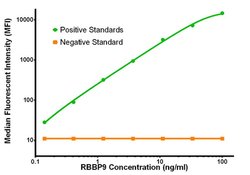 RBBP9 Mouse anti-Human, Biotin, Clone: OTI4E1, liquid, TrueMAB 50 &mu;g;