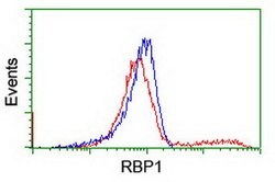 RBP1 Mouse anti-Human, Clone: OTI2E1, lyophilized, TrueMAB 100 &mu;g; Unconjugated:Antibodies,