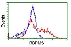 RBPMS Mouse anti-Human, Clone: OTI2G10, lyophilized, TrueMAB 100 &mu;g;