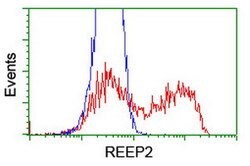 REEP2 Mouse anti-Human, Clone: OTI2C7, lyophilized, TrueMAB 100 &mu;g;