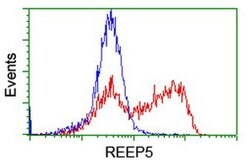REEP5 Monoclonal Antibody (OTI4D2), TrueMAB , OriGene 30 &mu;L; Unconjugated:Antibodies,