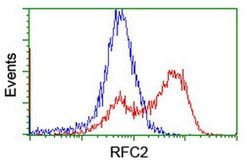 RFC2 Monoclonal Antibody (OTI4E1), TrueMAB , OriGene 30 &mu;L | Buy Online | Origene Technologies | Fisher Scientific
