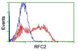 RFC2 Mouse anti-Human, Clone: OTI11C6, lyophilized, TrueMAB 100 &mu;g;