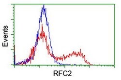 RFC2 Monoclonal Antibody (OTI2B2), TrueMAB , OriGene 30 &mu;L; Unconjugated:Antibodies,