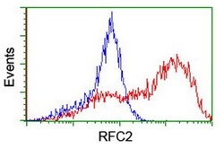 RFC2 Mouse anti-Human, Clone: OTI5A1, lyophilized, TrueMAB 100 &mu;g; Unconjugated:Antibodies,
