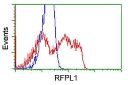 RFPL1 Monoclonal Antibody (OTI1D3), TrueMAB , OriGene 30 &mu;L; Unconjugated:Antibodies,