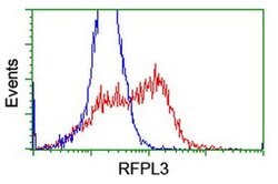 RFPL3 Monoclonal Antibody (OTI2B6), TrueMAB , OriGene 100 &mu;L; Unconjugated:Antibodies,