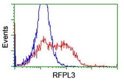 RFPL3 Mouse anti-Human, Clone: OTI2A6, lyophilized, TrueMAB 100 &mu;g;