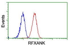 RFXANK Mouse anti-Human, Clone: OTI3F5, lyophilized, TrueMAB 100 &mu;g;