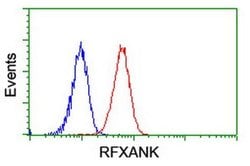 RFXANK Monoclonal Antibody (OTI3F5), TrueMAB , OriGene 100 &mu;L | Buy Online | OriGene | Fisher Scientific