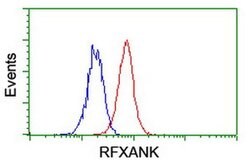RFXANK Monoclonal Antibody (OTI2F12), TrueMAB , OriGene 30 &mu;L; Unconjugated:Antibodies,