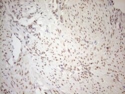 RGL2 Mouse anti-Human, Clone: OTI10F2, lyophilized, TrueMAB 100 &mu;g;