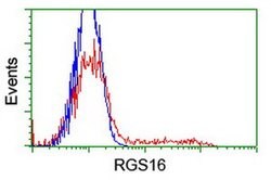 RGS16 Monoclonal Antibody (OTI1H7), TrueMAB , OriGene:Antibodies:Primary