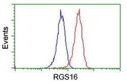 RGS16 Mouse anti-Human, Mouse, Clone: OTI4E5, lyophilized, TrueMAB 100