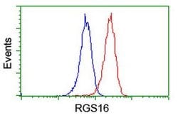 RGS16 Mouse anti-Human, Mouse, Clone: OTI4E5, liquid, TrueMAB 30 &mu;L;
