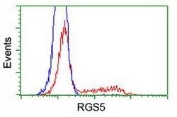 RGS5 Mouse anti-Human, Clone: OTI 3H6, lyophilized, TrueMAB 100 &mu;g | Buy Online | Origene Technologies | Fisher Scientific