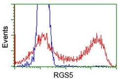 RGS5 Mouse anti-Human, Clone: OTI1C1, lyophilized, TrueMAB 100 &mu;g; Unconjugated:Antibodies,