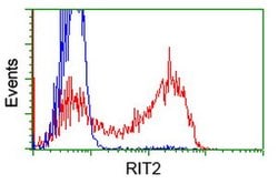 RIT2 Mouse anti-Human, Clone: OTI1G2, lyophilized, TrueMAB 100 &mu;g; Unconjugated:Antibodies,