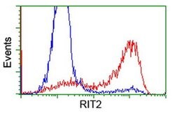 RIT2 Monoclonal Antibody (OTI4B5), TrueMAB , OriGene 30 &mu;L; Unconjugated:Antibodies,