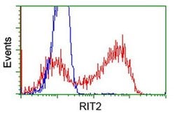 RIT2 Monoclonal Antibody (OTI3F4), TrueMAB , OriGene 30 &mu;L; Unconjugated:Antibodies,
