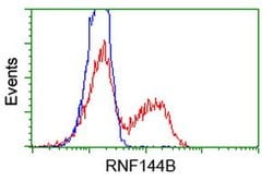 RNF144B Mouse anti-Human, Clone: OTI3C2, lyophilized, TrueMAB 100 &mu;g;