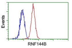 RNF144B Mouse anti-Human, Clone: OTI3C2, lyophilized, TrueMAB 100 &mu;g;