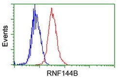 RNF144B Mouse anti-Human, Clone: OTI3C2, lyophilized, TrueMAB 100 &mu;g;