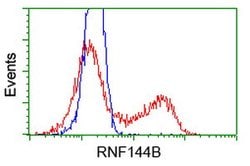 RNF144B Mouse anti-Human, Clone: OTI7H2, lyophilized, TrueMAB 100 &mu;g;