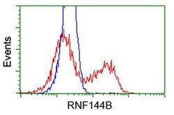RNF144B Mouse anti-Human, Clone: OTI11F4, lyophilized, TrueMAB 100 &mu;g;