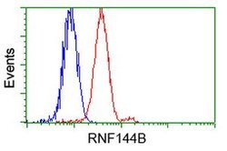 RNF144B Mouse anti-Human, Clone: OTI11F4, lyophilized, TrueMAB 100 &mu;g;