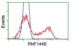 RNF144B Mouse anti-Human, Clone: OTI9H10, lyophilized, TrueMAB 100 &mu;g | Buy Online | Origene Technologies | Fisher Scientific