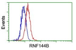 RNF144B Mouse anti-Human, Clone: OTI9H10, lyophilized, TrueMAB 100 &mu;g | Buy Online | Origene Technologies | Fisher Scientific