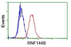 RNF144B Mouse anti-Human, Clone: OTI9H10, lyophilized, TrueMAB 100 &mu;g | Buy Online | Origene Technologies | Fisher Scientific