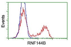 RNF144B Mouse anti-Human, Clone: OTI1E1, lyophilized, TrueMAB 100 &mu;g | Buy Online | OriGene | Fisher Scientific